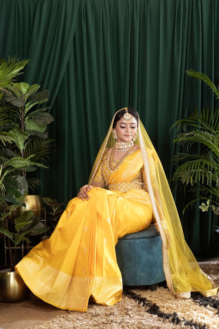 Haldi occasion collection showcasing traditional Indian sarees